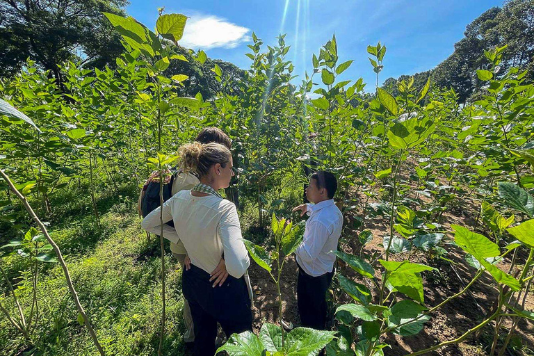 Siem Reap Nature & Cultural Safari Cycling Adventure