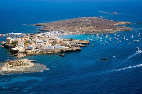From Benidorm: Tabarca Island Day Trip with Boat Cruise
