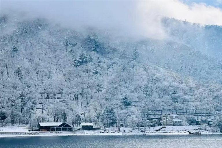 From Tokyo: Nikko World Heritage & Quarry Ruins Day Trip Private Chartered Car (Tickets included)