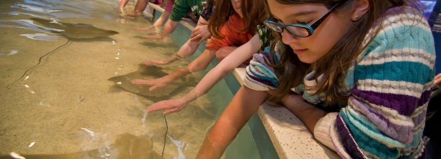 Boston: New England Aquarium Skip-the-Line Entry Ticket