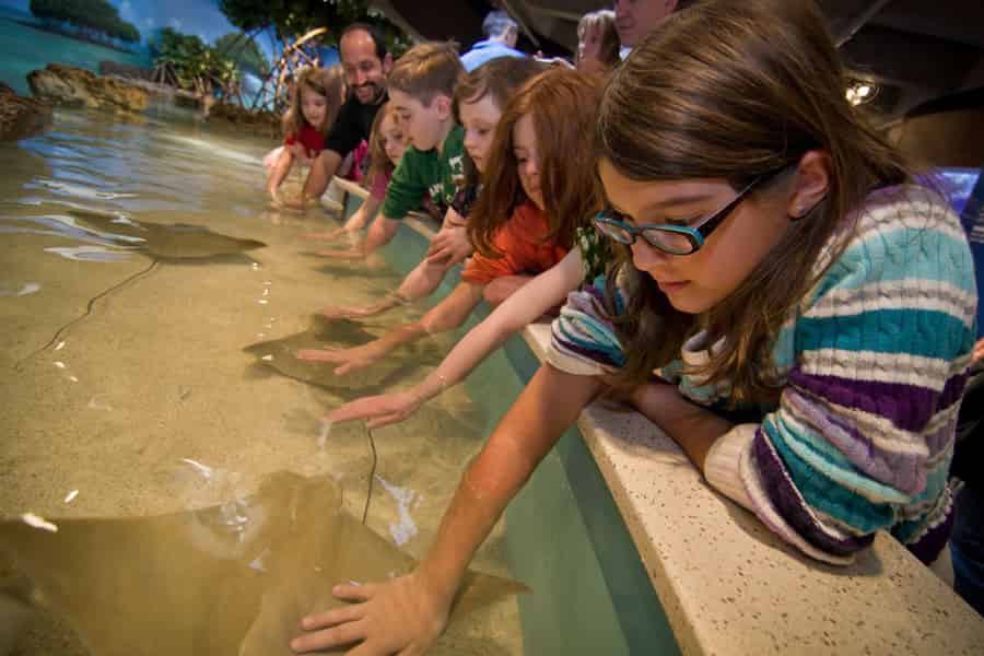 Boston: Eintritt ins New England Aquarium ohne Anstehen. Foto: GetYourGuide