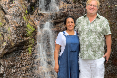 Chiang Mai Tour: Bua Tong Sticky Waterfall & Elephant Care Private tour : Sticky Waterfalls & Elephant Care in English