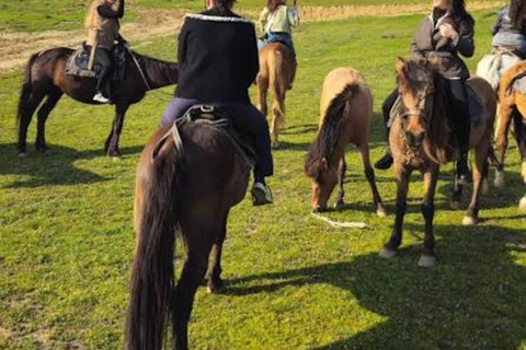 From Baku: Absheron Peninsula Horseback Riding Tour