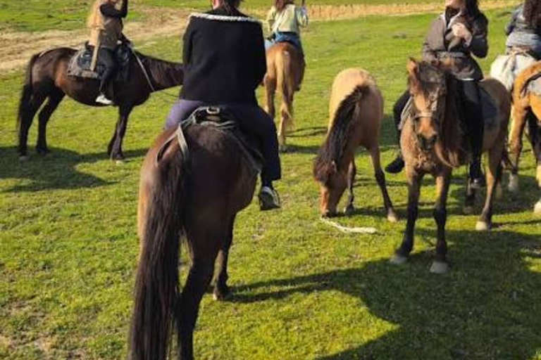 From Baku: Absheron Peninsula Horseback Riding Tour