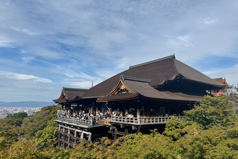 Tour privato di Kyoto in prima serata: I principali luoghi di interesse in mezza giornata