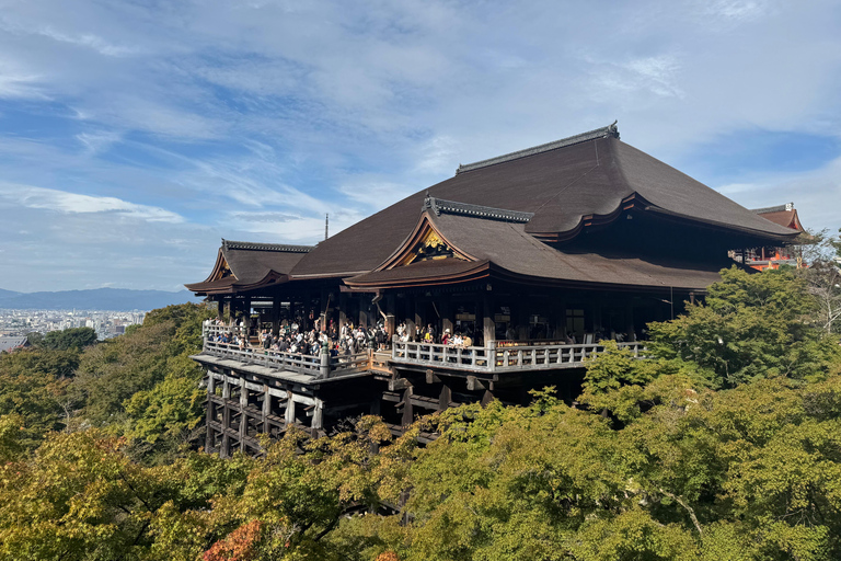 Tour privato di Kyoto in prima serata: I principali luoghi di interesse in mezza giornata