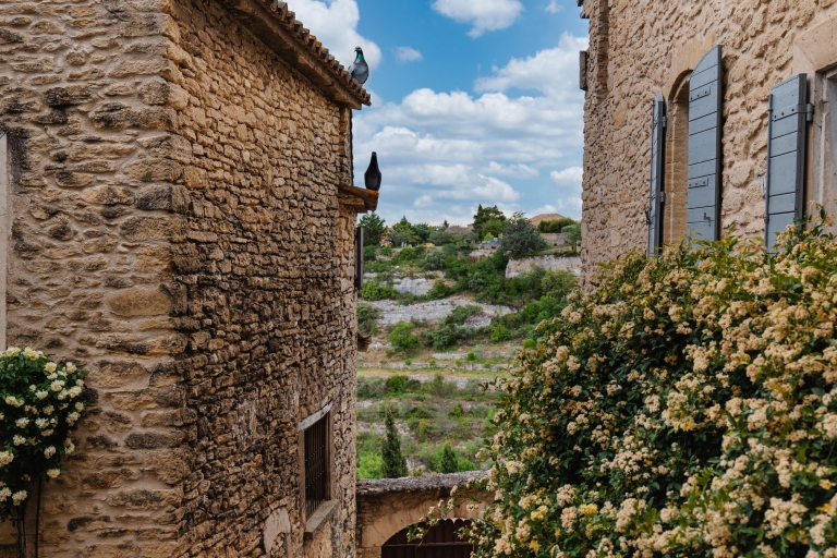Van Avignon: ontdek dorpen in LuberonVan Avignon: ontdek dorpen in de Luberon