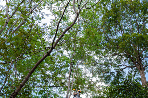 Phuket: Flying Hanuman Zipline Adventure SD4: Epic Adventure with Elephant Jungle