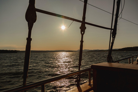 Oslo : croisière à la découverte de l'Oslofjord avec dîner de fruits de mer