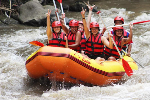 Bali: White Water Rafting and ATV Adventure with Lunch