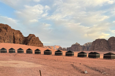 Wadi Rum: Bedouin Dinner and Stargazing Experience