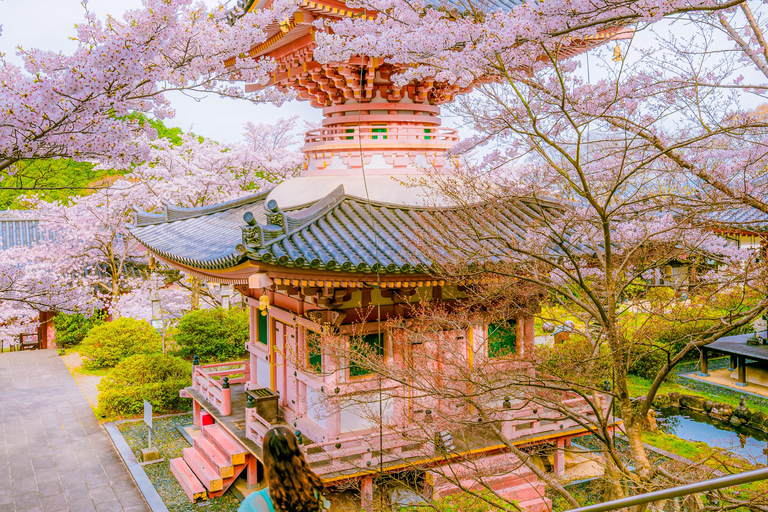 Nara Cherry Blossom Highlights Spring Day Tour from Osaka Shared Tour, Meet at Tsurutontan Soemoncho