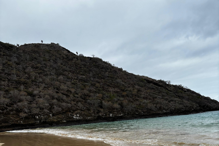 Galápagos: Floreana Tour with Snorkeling & Flamingo Lagoon