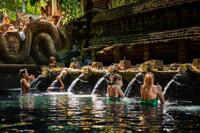 Private Ubud Tour: Sacred Monkeys, Coffee, Temple, Waterfall