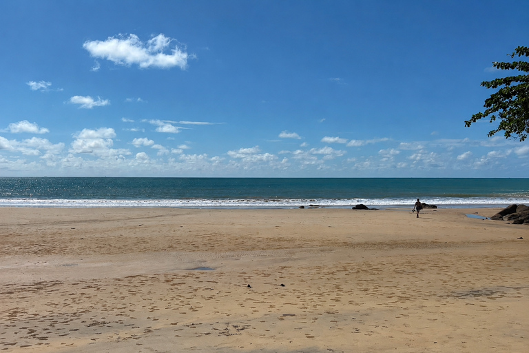 Khao Lak: Bamboo Rafting, Turtle Center & Temple Tour