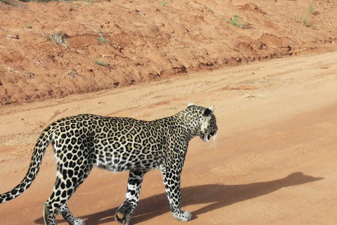 Tagestour zum Tsavo Ost-Nationalpark von Mombasa aus