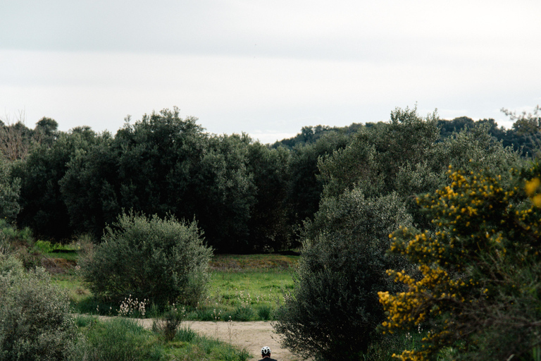 Corfu: E-Bike Tour with Wine Tasting and Winery Visit