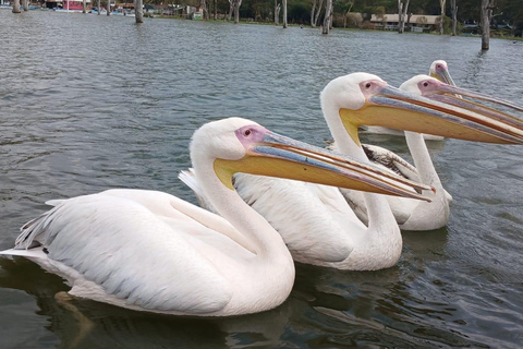 Nairobi: Hell's Gate & Lake Naivasha Day Trip with Boat Ride