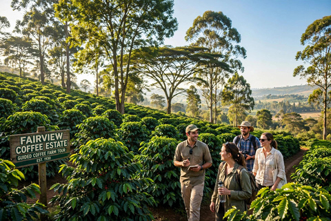 Kiambu: Fairview Estate Coffee Farm Tour with Tasting