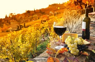 Rom: Private Toskana-Tagestour mit Weinprobe und Mittagessen
