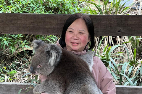 Von Adelaide aus: Kuscheln mit einem Koala und historische Hahndorf-Tour