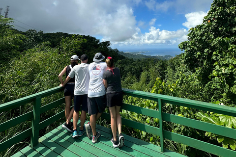 Grenada: Rivier Tubing en Grand Etang Meer Tour