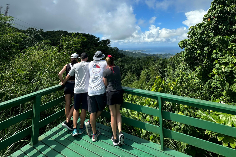 Grenada: Rivier Tubing en Grand Etang Meer Tour