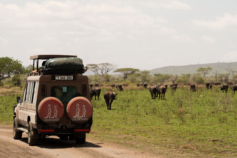 Excursion de 1 journée au parc national du Tarangire