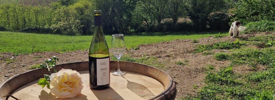 Randonnée à pied et dégustation de vins du Beaujolais - mâchon inclus