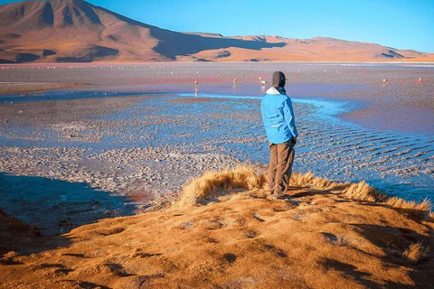 Au départ de La Paz : Excursion de 4 jours à San Pedro de Atacama