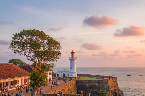 Bentota: Galle Fort, Turtle Hatchery, & Moonstone Mine Tour