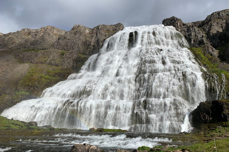Isafjordur: wycieczka do wodospadu Dynjandi i wizyta na islandzkiej farmieIsafjordur: Wycieczka do wodospadu Dynjandi i wizyta na islandzkiej farmie