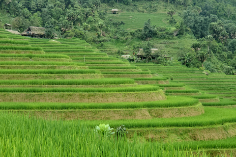 4 dagar Ha Giang-Hoang Su Phi Kingdom of terraced med ryttare