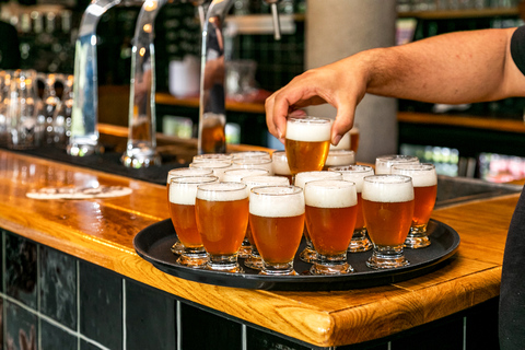 Ámsterdam: tour guiado en autobús por la cervecería artesanal con degustaciones