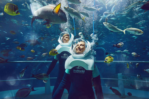 Abu Dhabi: SeaWorld Entry Ticket with Private SUV Transfer Abu Dhabi: SeaWorld Entry Ticket with KIA Carnival Transfer