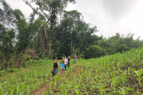 Chiang Rai: 2-Day Jungle Trek only walk with Waterfall