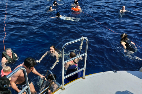 Larnaca: Zenobia Shipwreck Cruise Simning och snorkling