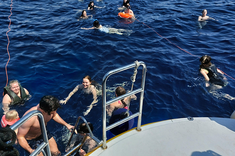 Larnaca: Cruzeiro nos Naufrágios Zenobia: natação e mergulho com snorkel