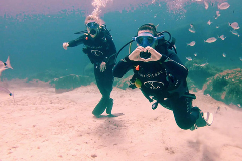 Malta, Scuba diving with instructor