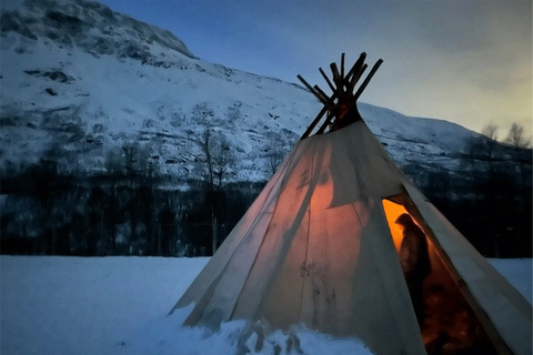 Tromsø: Rendierervaring in sami-kampRendier privé belevenis in sami-kamp