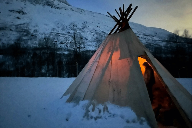 Tromsø: Experiência com renas em um acampamento de samiExperiência particular com renas no sami-camp