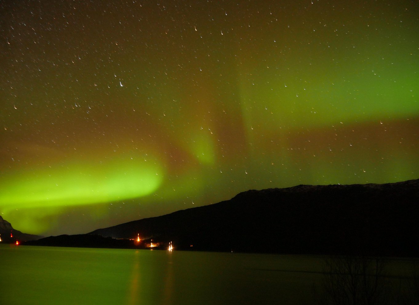 Harstad/Narvik/Tjeldsund: Nordlys-sightseeing i bil