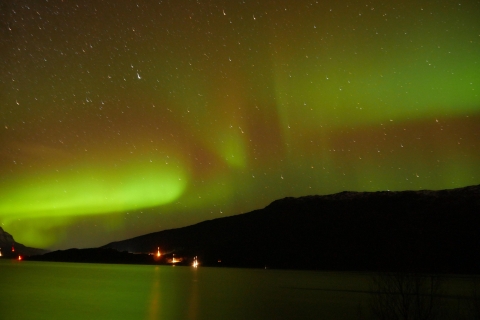 Harstad/Narvik/Tjeldsund : Observation des aurores boréales en voiture