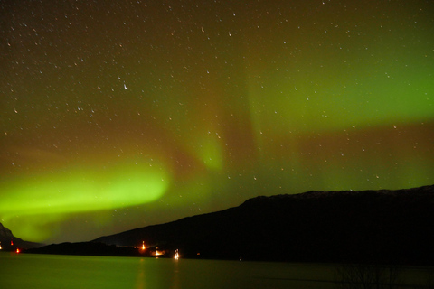 Harstad/Narvik/Tjeldsund: Northern Lights Sightseeing by Car