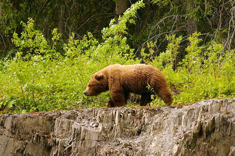 Hope: Turnagain Pass Scenic Float Trip