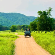 Ranthambore: Wildlife Safari Through India’s Tiger Country