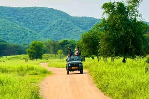 Ranthambore: Wildlife Safari Through India’s Tiger Country - Image 3
