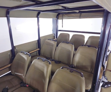 Schotia: Full Day Open Safari Vehicle with Lunch