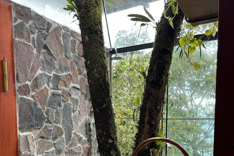 Quito: 3-Day Amazon Experience with Spa & Indigenous Visit