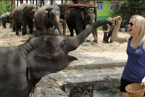 Visite Instagram de la ville ancienne d'Ayutthaya à Bangkok